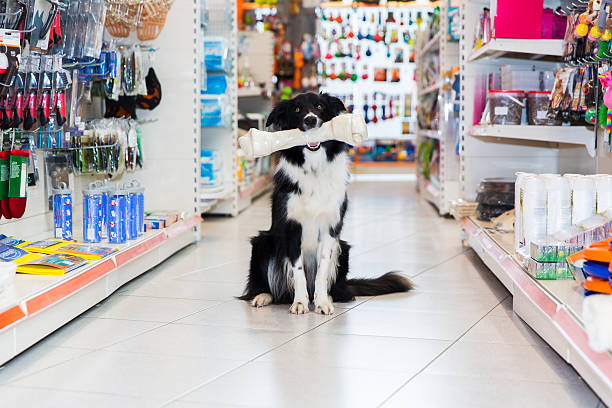 Petshop